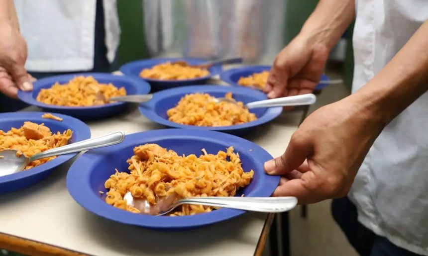 Conselheiros da Alimentação escolar têm até dia 31 de maio para realizar recadastramento