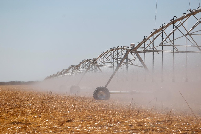 DiaNacionaldaAgriculturaIrrigadainstitudopeloGovernoFederal_0160483001744433914.jpeg