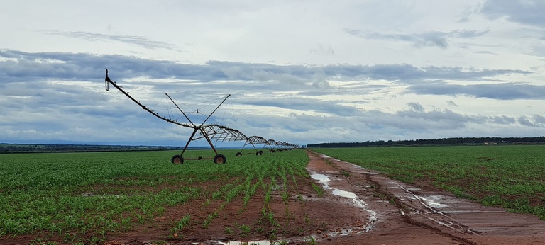 MIDRpreparaestudosparareconhecerpolodeagriculturanoMatoGrossodoSul_0507618001744437509.jpeg