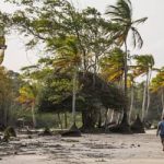 100% das iniciativas do MIDR estão alinhadas aos Objetivos de Desenvolvimento Sustentável