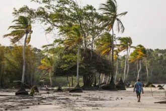 100% das iniciativas do MIDR estão alinhadas aos Objetivos de Desenvolvimento Sustentável