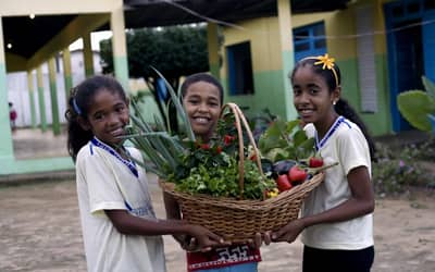 Novo Pronacampo: prazo para adesão é prorrogado até 30/11