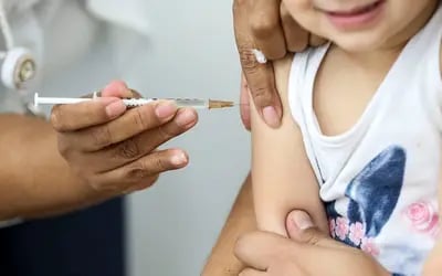 CadernetaemdianoMatoGrossoMinistriodaSadereforaimportnciadavacinaodecrianaseadolescentes_0051393001773766570.jpeg