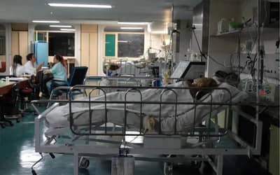 InfoGripedoenasrespiratriasseguememaltaemtodasasfaixasetrias_0685576001780125964.jpeg