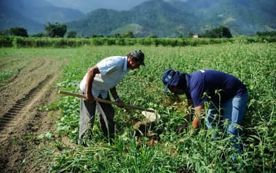 Agropecuriaempregonosetorcresceu313em2025dizCNM_0635459001784916971.jpeg