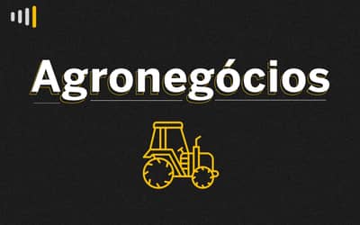 AltastemperaturasechuvasescassaseirregularesprejudicamlavourasemMS_0227772001784931362.jpeg