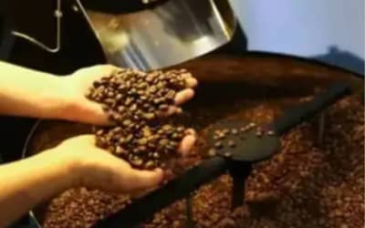 Cafhojeconfiracotaesparaestaquinta-feira11_0884308001784970906.jpeg