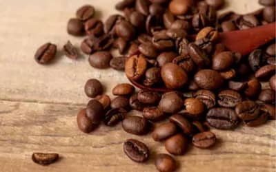 Cafhojeconfiracotaesparaestasexta-feira26_0161659001784974510.jpeg