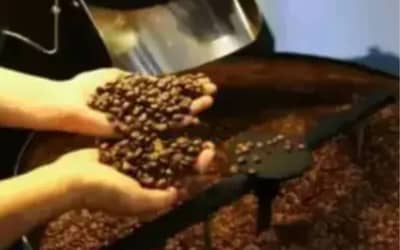 Cafhojeconfiracotaesparaestatera-feira16_0998896001784972688.jpeg