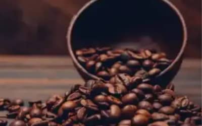 Cafhojeconfiracotaesparaestatera-feira5_0327054001784952992.jpeg