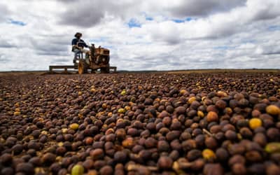 CmaraaprovaanliseaceleradaparanovasregrasdoSeguroRuralnoBrasil_0861370001784925905.jpeg