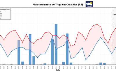 INMETemitealertafitossanitrioparalavourasdetrigonoSulapsaumentodaschuvas_0477565001785087882.jpeg