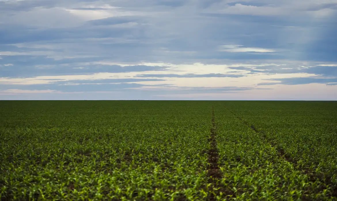 SeguroruralparlamentaresdeMGedoPRcobramfortalecimentodapolticaparadarprevisibilidadeaoagro_0274377001784913296.jpeg