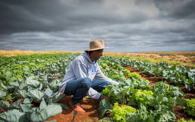 Renegociaodedvidasruraisnochegaaoprodutordizbancadadoagro_0462507001789443890.jpeg